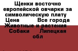 Щенки восточно европейской овчарки за символическую плату › Цена ­ 250 - Все города Животные и растения » Собаки   . Липецкая обл.